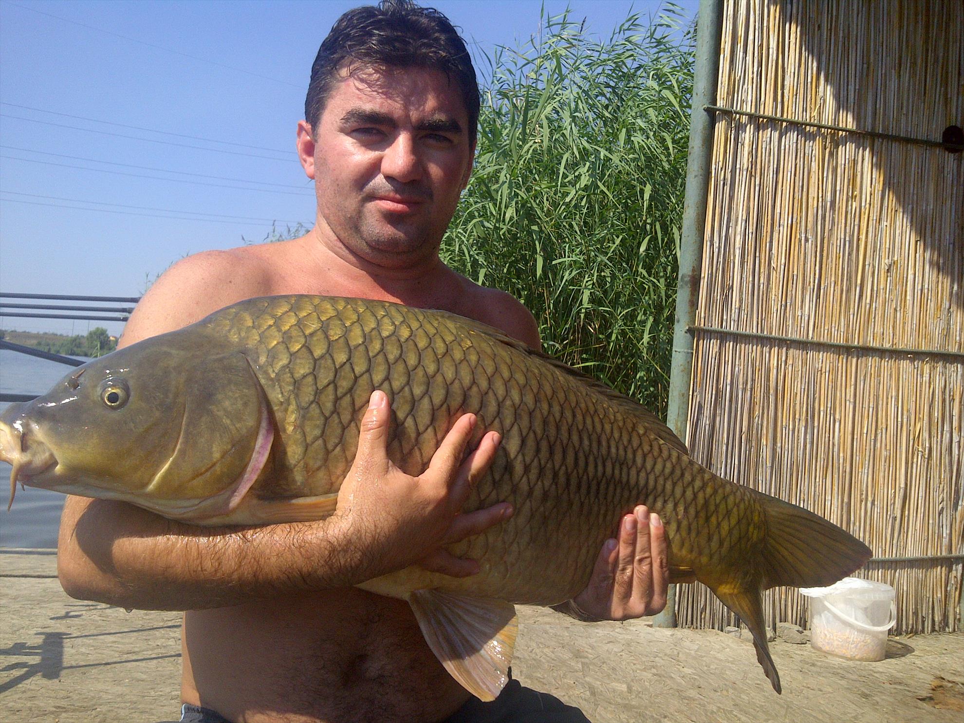 catch & release - img-20110822-00133.jpg